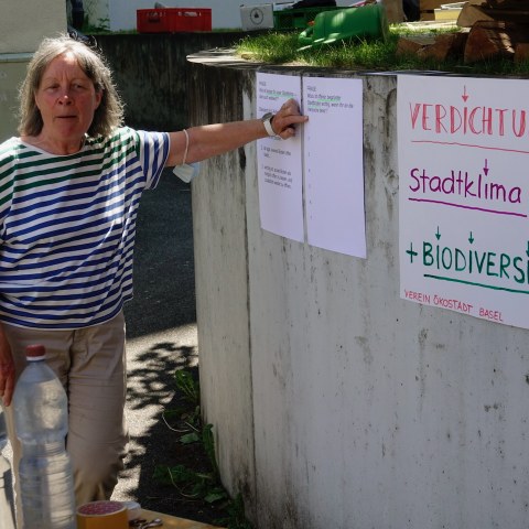 Aktionstag Gymnasium Leonhard (16). Vergrösserte Ansicht