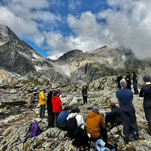 Steingletscher10. Vergrösserte Ansicht