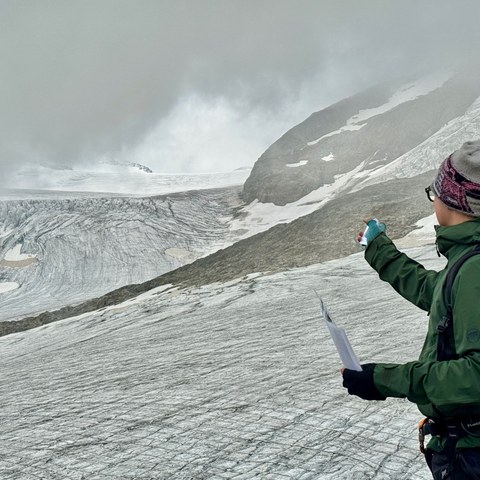 Steingletscher8. Vergrösserte Ansicht