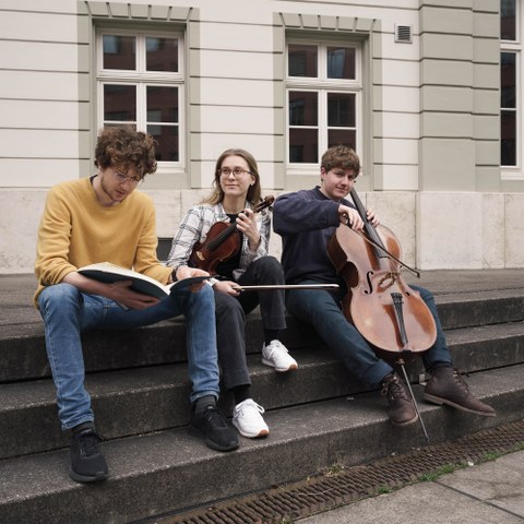 Viva la Vida 4. Vergrösserte Ansicht