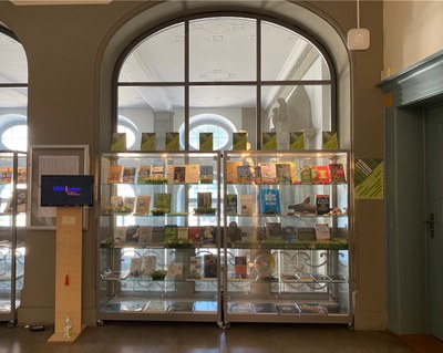 Aktionstag Gymnasium Leonhard (27)