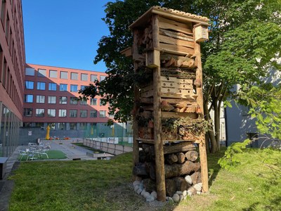 Aktionstag Gymnasium Leonhard (39)